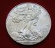 2013 Silver Dollar Coin 1 Troy Oz American Eagle Walking Liberty.  999 Fine Silver photo 8
