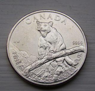 2012 Silver Coin 1 Troy Oz Canada Cougar Cat Foe Wildlife Animal.  9999 Fine Bu photo