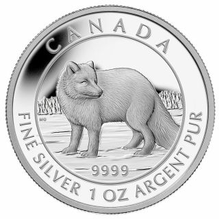 2014 Canada $5 Fine Silver Coin - Arctic Fox photo