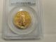 1991 $25 American Eagle Gold Pcgs Ms - 68 Gold photo 1