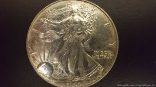 1999 American Silver Eagle Dollar photo