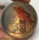 2016 Australia 1 Oz Silver Kookaburra (bu) Antiqued And Colored Look Other Australian Coins photo 1