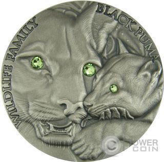 Black Puma Wildlife Family 1 Oz Silver Coin 1$ Niue 2016 photo