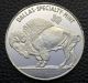 Dallas Specialty Indian/buffalo 2 Troy Oz.  999 Fine Silver Coin Rare (102) Silver photo 1