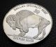Dallas Specialty Indian/buffalo 2 Troy Oz.  999 Fine Silver Coin Rare (102) Silver photo 2