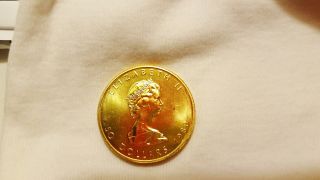 1 Troy Oz 1980 Gold Canadian $50 Maple Leaf Coin.  9999 photo