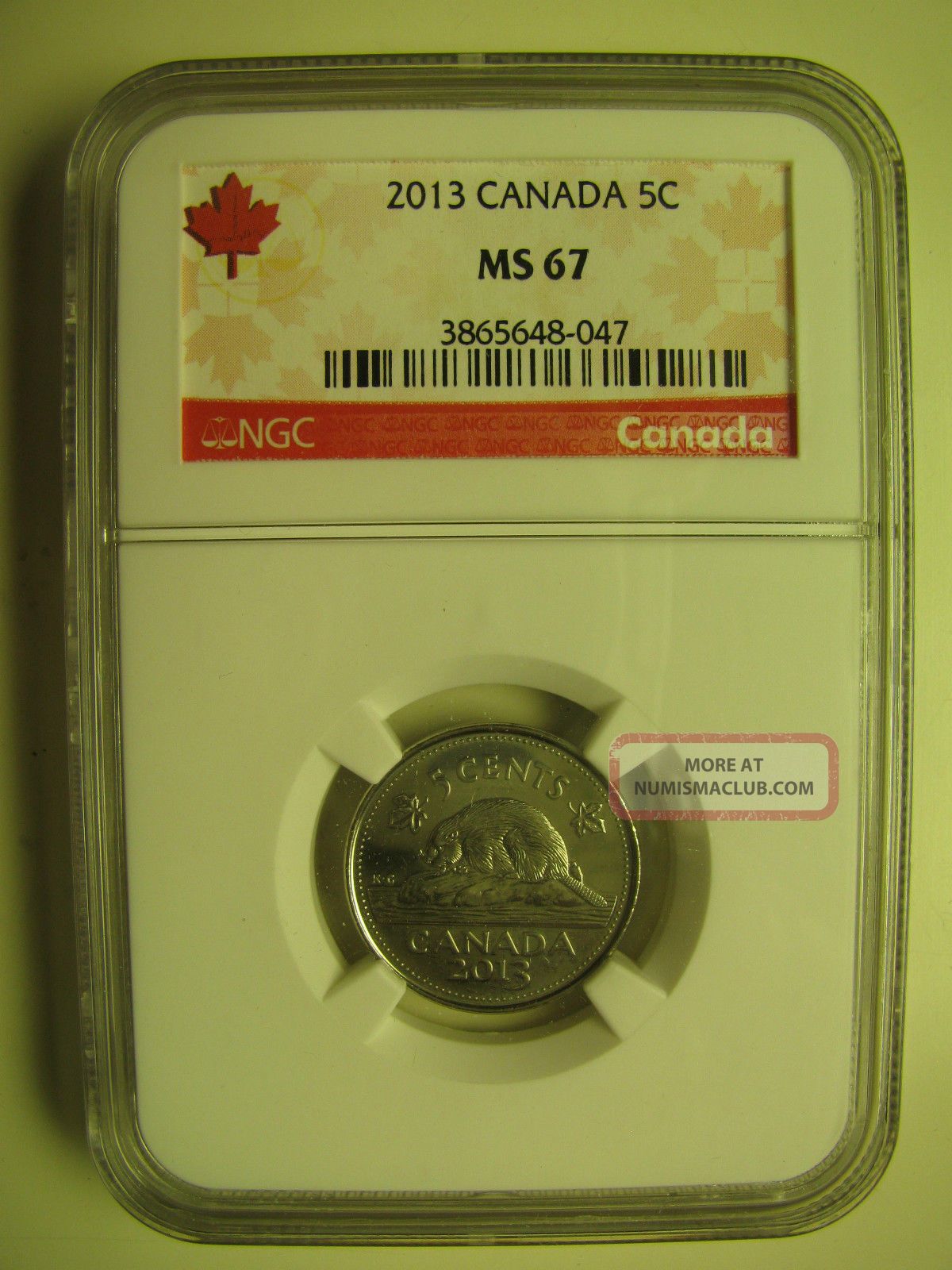 2013 Ngc Ms67 5 Cents Canada Five Nickel Coins: Canada photo