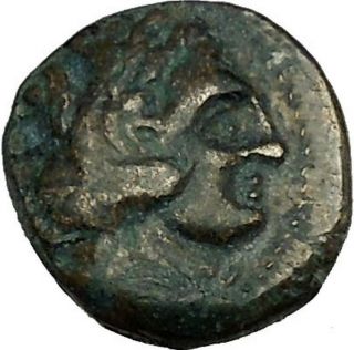 Alexander Iii The Great As Hercules 336bc Ancient Greek Coin Bow Club I39914 photo