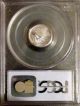 2005 $10 1/10 Oz Platinum American Eagle Ms - 69 Pcgs (first Strike) Coins photo 1