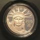 2010 - W Us Preamble Series American Eagle 1 Oz Platinum Proof Coin W/box&coa Platinum photo 1