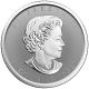 2017 Canada $5 1 Oz Reverse Proof Silver Maple Leaf - Canada 150 Privy Mark Coins: Canada photo 1