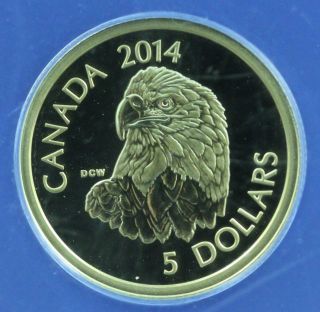 2014 Canadian $5 Bald Eagle - Anacs Certified Proof 69 Deep Cameo 1/10th Oz Gold photo