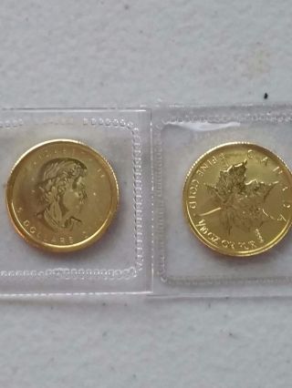 2009 1/10 Oz Gold Canadian Maple Leaf Rare Bu Cond In Plastic Holder.  9999 Fine photo