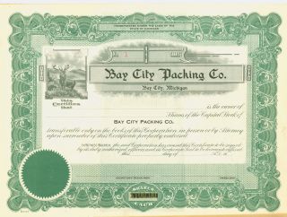Bay City Packing Co.  Green Stock Certificate photo