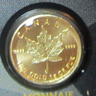2015 Gold 1 Gram Maple Leaf Coin Maplegram25™ 9999 Pur Assay Card photo
