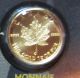 2015 Gold 1 Gram Maple Leaf Coin Maplegram25™ 9999 Pur Assay Card Gold photo 6