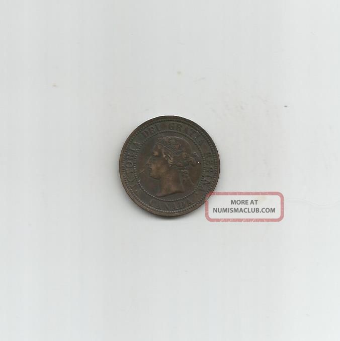 Ncoffin Canada Confederation Victoria 1881h Cent Bronze Coin Coins: Canada photo