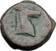 Carthage In Zeugitana 300bc Rare Ancient Greek Coin Horse Palm Tree I48141 Coins: Ancient photo 1