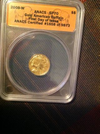 Gold American Buffalo Five Dollar Coin photo
