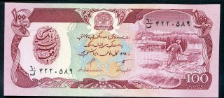 Afghanistan 100 Afghanis 1990 Sh1369 P - 58b Unc Uncirculated Banknote photo