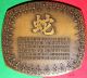 Medicine Symbol / Snake / Chinese Zodiac/ Big Bronze Medal/ 293grs.  / (3.  5x3.  1 
