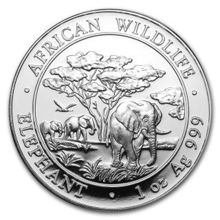 2012 1 Oz Somalian Silver Elephant Coin (bu) - Sku 0446 photo