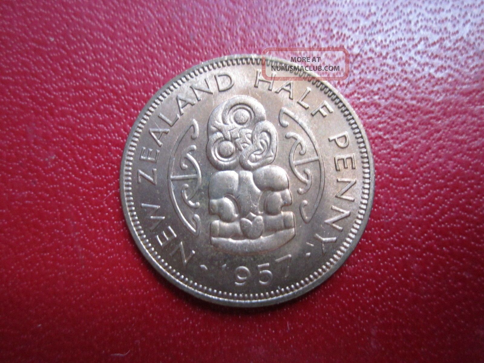 Zealand Half Penny Bu 1957 New Zealand photo