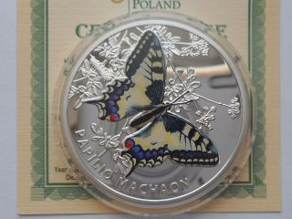 Niue 1 Dollar 2011 Butterfly Papilio Machaon Silver photo