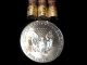 1 Ounce.  999 Fine Silver 2016 American Silver Eagle Bu,  3 Jars 24k Gold Flakes Silver photo 1