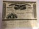 1858 National Paint Company Stock Certificate No.  90 500 Shares Jersey Eagle Stocks & Bonds, Scripophily photo 1