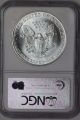 1995 Silver American Eagle Ms69 Ngc Us 1oz $1 Ase Bullion Coin Silver photo 1