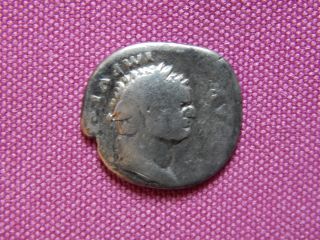 Titus,  Rome,  Ar Denarius,  76 Ad,  Eagle On Cippus,  Ric 861[vesp] photo