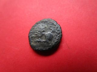 Roman Empire - Leo I (ad 457 - 474) With Lion On Reverse.  Visible Details photo