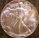1987 American Silver Eagle Beauty,  Value,  Security Silver Up The Eagle Flys Silver photo 3