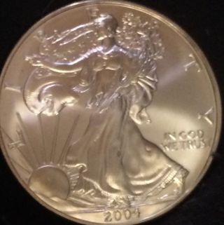 2004 American Silver Eagle Untouched Beauty,  Value photo