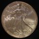 2004 American Silver Eagle Untouched Beauty,  Value Silver photo 5