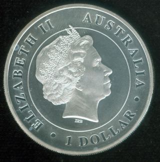 2015 1oz.  999 Fine Silver Australian Funnel Web Spider Coin (1721161) photo