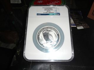 2012 - P Australia Kookaburra $10/10 Ounce Silver Coin Ms 70 Early Releases photo