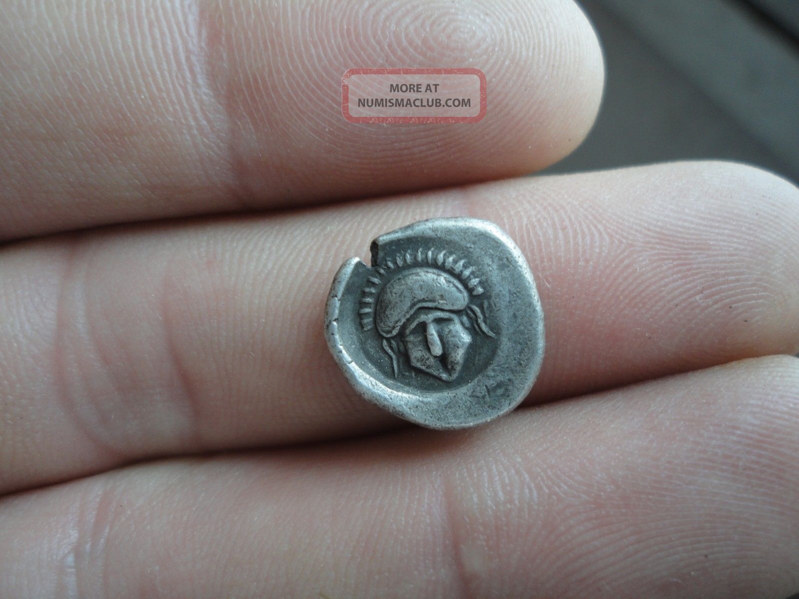 Ancient Greec Ar Silver Diobol Coin Mesembria Thrace 450 - 350 Bc Extremely Rare Coins: Ancient photo
