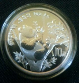1995 China Large Date Large Twig 1 Oz 999 Silver Panda Capsule Low Mintage photo