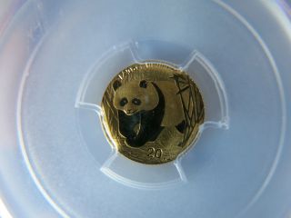 2002 1/20 Oz Gold Panda Pcgs Ms69 20 Yuan China Chinese Coin photo