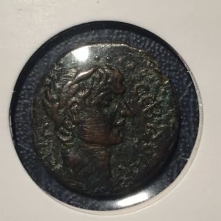 Trajan.  Ae 23,  Ascalon 105/6 Ad Ancient Roman Coin,  Detail photo