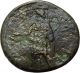 Claudius Thessalonica In Macedonia Authentic Ancient Roman Provincial Coin Rare Coins: Ancient photo 1