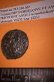 Ancient Roman Coin - Imperial - Numerian Coins: Ancient photo 4
