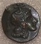 Ancient Greek Roman Coin Drachm Calabria Owl 200 Bc Athens Or Attica Coins: Ancient photo 7