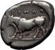 Poseidonia Paestum Lucania 445bc Ancient Silver Stater Greek Coin Bull I58582 Coins: Ancient photo 1