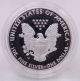 2010 W Silver American Eagle 1 Oz.  999 Proof Coin W/ Box & Silver photo 2
