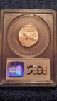 2002 $25 (1/4 Oz) American Statue Of Liberty Platinum Coin - Pcgs Ms69 Platinum photo 1