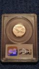 2004 $25 (1/4 Oz) American Statue Of Liberty Platinum Coin - Pcgs Ms69 Platinum photo 1