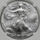 2016 Silver Eagle $1 Ms 70 Ngc Early Releases (blue Label) Silver photo 2